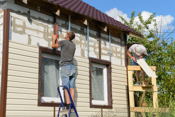 Best Custom Trim and Detailing for Siding  in Lochsloy, WA